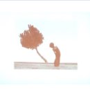 초포초등학교 이미지