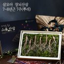 삼모아
