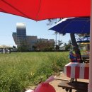 대보포차 이미지