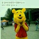 알바 이미지