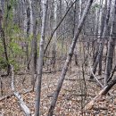 백학서당 이미지