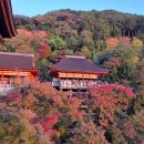 오지할머니 | [90대 할머니 첫 고베·교토 효도여행] 청수사...휠체어 관광 경사 난이도 솔직 후기-3박4일 2일차 [6]