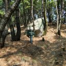 팔공산녹색길 숲길 2코스 이미지