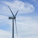 성읍리-23 이미지