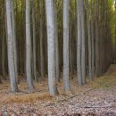 서경농장 이미지