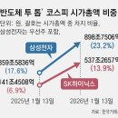 개미투 동아일보