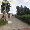 호근남로 이미지