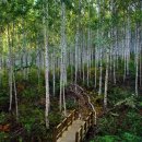 송월동 동화마을 특화거리 이미지