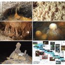 한라산 白鹿潭(백록담) 傳說 ^ 無病長壽(무병장수) 南極(남극) 노인성(老人星.Canopus) ^ 구상나무(鉤狀...
