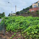 두라보건진료소 이미지