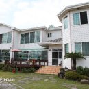 제주또올레 이미지