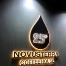 노부스테라 이미지