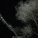 박가뼈다귀 이미지