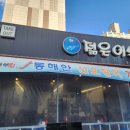 춘천산오징어 파는곳 젊은어부 양도 푸짐해요