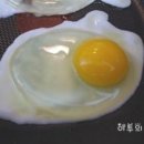 뜨레난농장