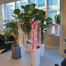 넥스트성형외과의원 이미지