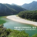 동강타이어