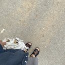 안계약국 이미지