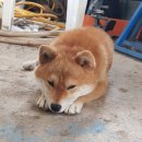 옛시청교차로 이미지