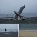 보령수산업협동조합 - 17784 | 보령수산업협동조합