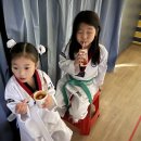 진성태권도 이미지