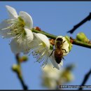 성주농원 이미지