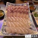 회와 멍게 친구들 이미지