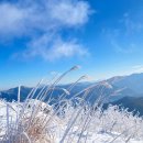 제92차 지리산 바래봉(눈꽃)산행 공지 이미지