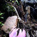 대공목장 이미지