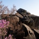 진달래약수터 이미지