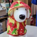 문화애견 이미지