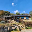 은봉애견 이미지