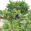 밝은세상마을 이미지