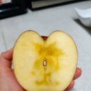 청송꿀사과