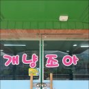 개냥조아