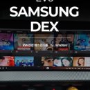 덱스모터스