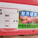 장가네농원