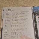 은'요가 | <요가하라 범계역점> 만삭 임산부의 요가 후기 ㅣ과천요가원, 명학체형교정