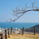 옹기를찾는사람들