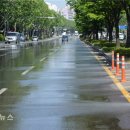 달구벌대로 이미지