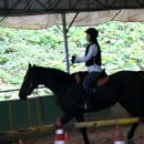 동서울 승마장 이미지