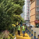 챔프 태권도 이미지