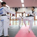 경희대선호태권도 네이버블로그
