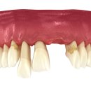 365우리들치과병원 이미지