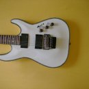 일렉기타 쉑터 다이아몬드 시리즈 헬레이저 (Schecter Hellraiser c-1 groos white) 이미지