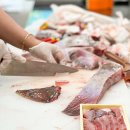 홍어전문점 이미지