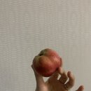 삼덕세탁소 | 2025.7-8