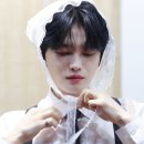 에버라인