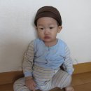 예쁜댕 이미지