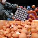 지현농장 이미지